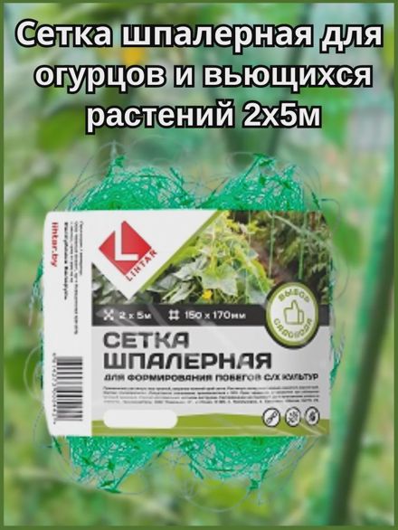 Сетка шпалерная для огурцов и вьющихся растений 2х5м