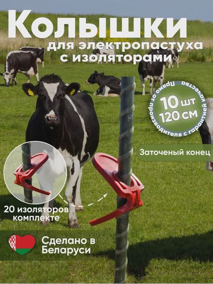 Комплект для Электропастуха колышки
