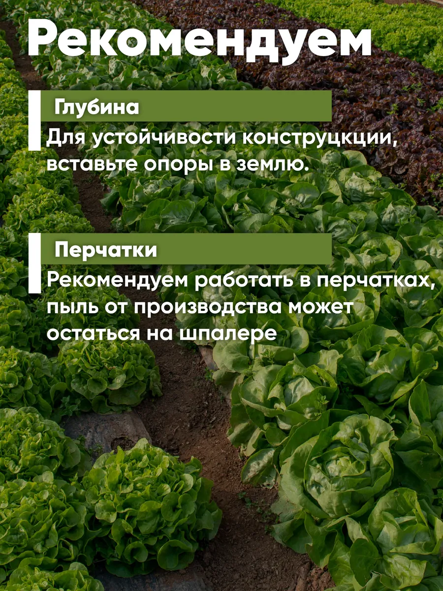 Шпалера с укрепленной сеткой