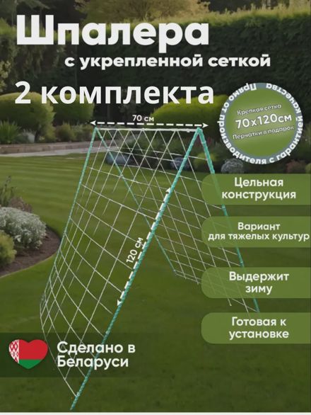 Шпалера с укрепленной сеткой