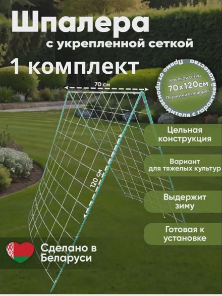 Шпалера с укрепленной сеткой