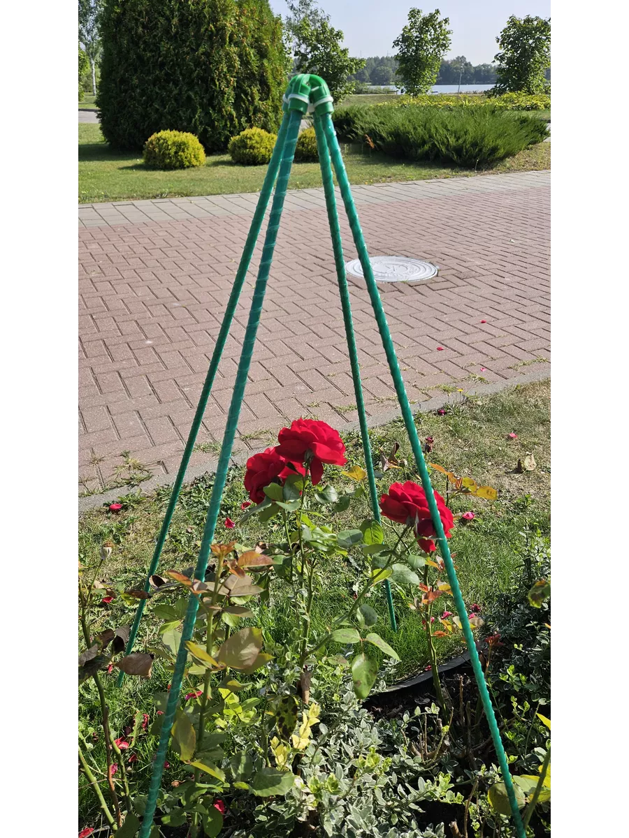 Каркас для укрытия растений