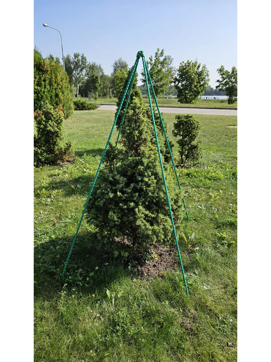 Каркас для укрытия растений