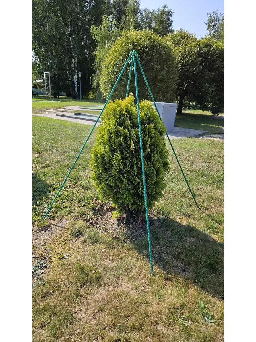 Каркас для укрытия растений